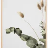Dried 002 Poster (21x29.7 cm (A4))