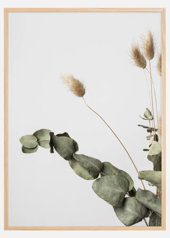 Dried 002 Poster (21x29.7 cm (A4))