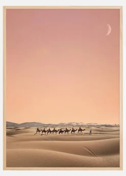 Eight Camels Poster (21x29.7 cm (A4))