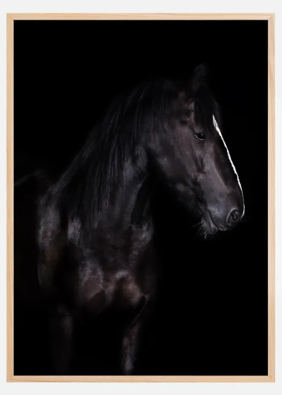 Erika Poster (21x29.7 cm (A4))