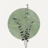 Eucalyptus And Green Moon Canvastavla (30x40 cm)