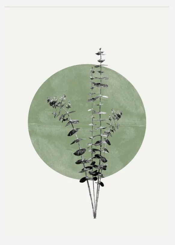 Eucalyptus And Green Moon Canvastavla (30x40 cm)
