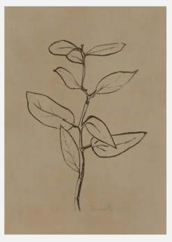 Eucalyptus Sapling Canvastavla (30x40 cm)
