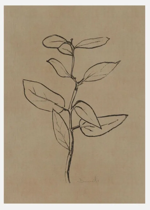 Eucalyptus Sapling Canvastavla (30x40 cm)