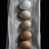 Farm eggs Poster (21x29.7 cm (A4))