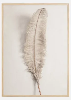 Feather 002 Poster (21x29.7 cm (A4))