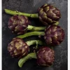 Five Artichoke Canvastavla (30x40 cm)