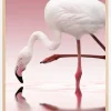 Flamingo Poster (21x29.7 cm (A4))