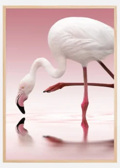 Flamingo Poster (21x29.7 cm (A4))