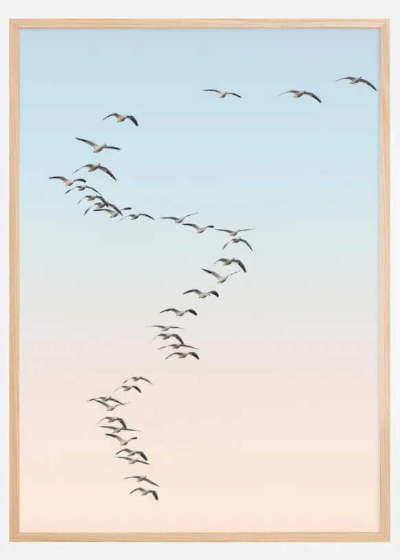 Fly away Poster (21x29.7 cm (A4))