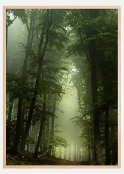 Foggy Forrest Poster (21x29.7 cm (A4))