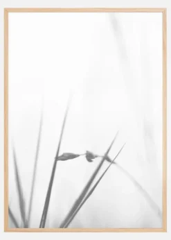 Fog Poster (21x29.7 cm (A4))