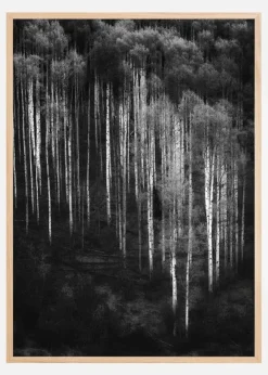 Forest Art Poster (21x29.7 cm (A4))