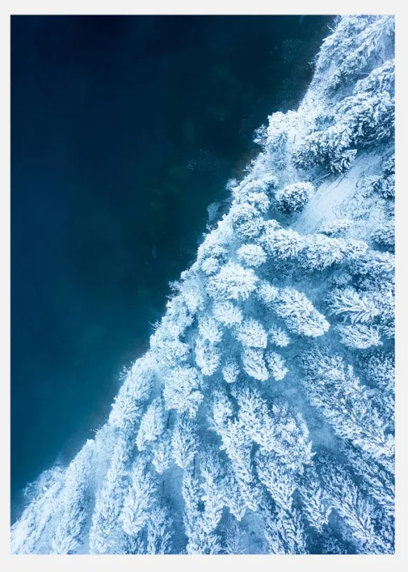 Frosty Forest Canvastavla (30x40 cm)