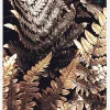 Golden Leaves Canvastavla (30x40 cm)