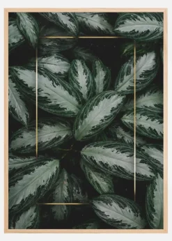 Green Leaves Poster (21x29.7 cm (A4))