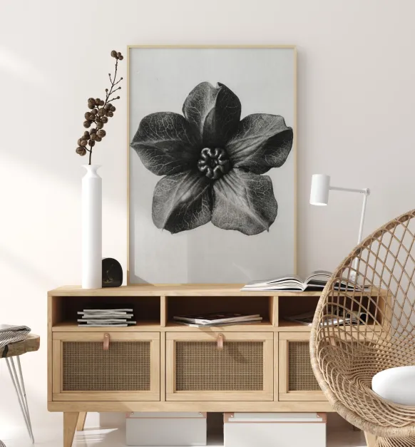 Grey Flower III Poster (21x29.7 cm (A4))