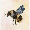 Grunge Watercolour Bee Canvastavla (30x40 cm)