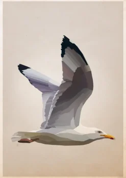 Gull Poster (21x29.7 cm (A4))