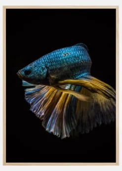 Half turn Poster (21x29.7 cm (A4))