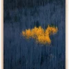 Heart of Aspens Poster (21x29.7 cm (A4))