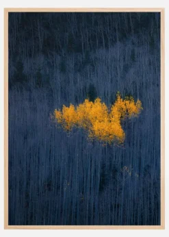 Heart of Aspens Poster (21x29.7 cm (A4))