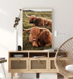 Highland Cattle Poster (21x29.7 cm (A4))