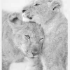 I Love You Canvastavla (30x40 cm)