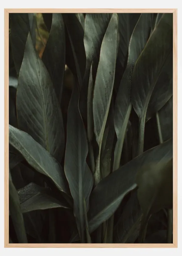Jungle Poster (21x29.7 cm (A4))