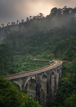 Jungle train rails Poster (21x29.7 cm (A4))