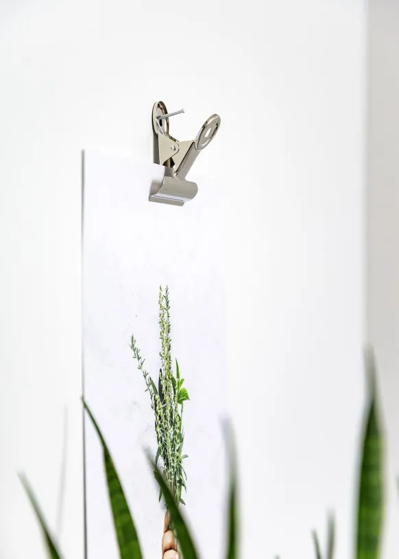 KAILA Poster Clip Silver 65 mm - 2-p