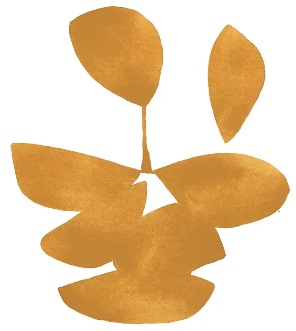 Leaves XI Poster (21x29.7 cm (A4))