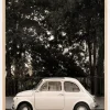 Little Car in Paris Poster (21x29.7 cm (A4))