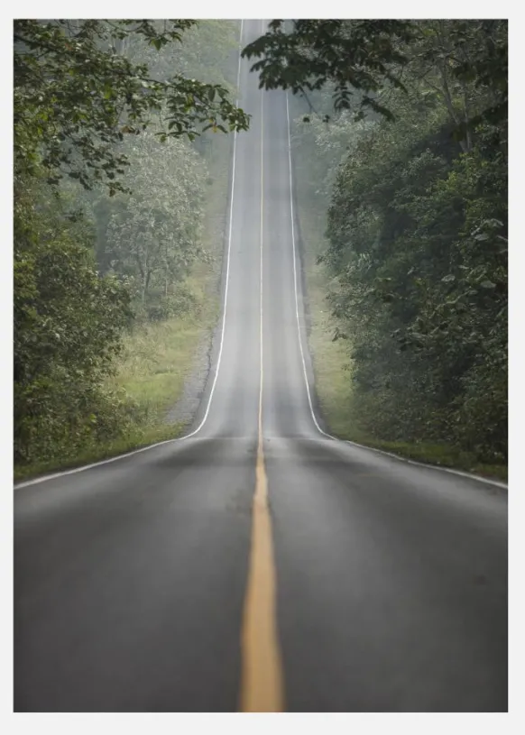 Lonely Road Canvastavla (30x40 cm)