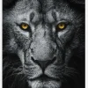 Look At Me Canvastavla (30x40 cm)