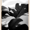 Monstera in Black and White l Poster (21x29.7 cm (A4))