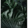 Monstera Plant II Canvastavla (30x40 cm)