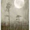 Moonlight Canvastavla (30x40 cm)