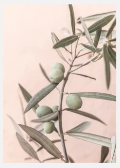 Olives Canvastavla (30x40 cm)