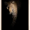Out of the darkness Poster (21x29.7 cm (A4))