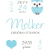 Owl Birth Poster Blue (21x29,7 cm (A4))