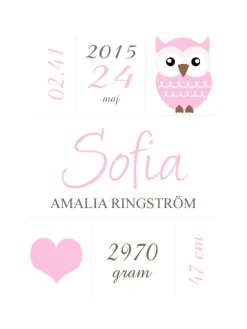 Owl Birth Poster Pink (21x29,7 cm (A4))