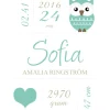 Owl Birth Poster Turquoise (21x29,7 cm (A4))