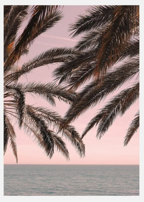 Palm Beach III Canvastavla (30x40 cm)