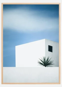 Palm tree Poster (21x29.7 cm (A4))