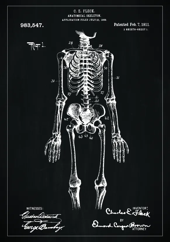 Patentritning - Anatomiskt skelett I - Svart Poster (21x29.7 cm (A4))