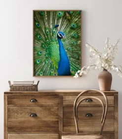 Peacock Poster (21x29.7 cm (A4))