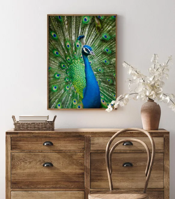 Peacock Poster (21x29.7 cm (A4))