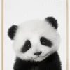 Peekaboo Baby Panda Poster (21x29.7 cm (A4))