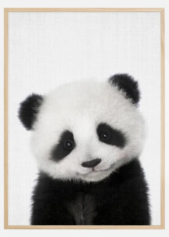 Peekaboo Baby Panda Poster (21x29.7 cm (A4))